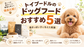 トイプードルのドッグフードおすすめ5選｜飽きっぽい子に与えた結論