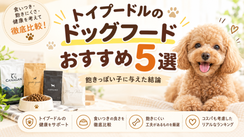 トイプードルのドッグフードおすすめ5選｜飽きっぽい子に与えた結論