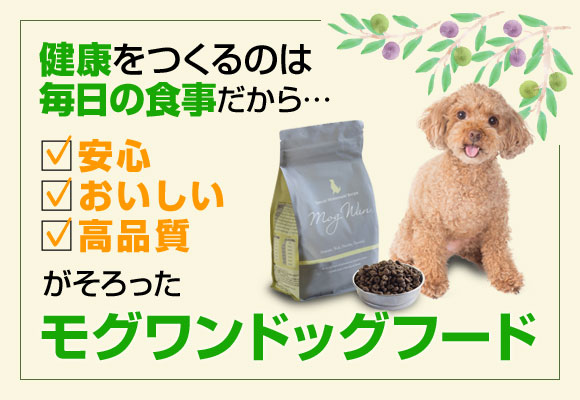 「モグワンドッグフード」の口コミ。「やめた」人もいる？お試し徹底ガイド