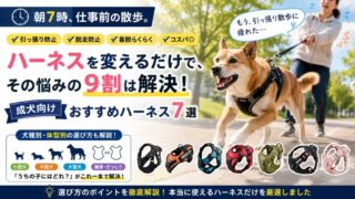【共働き家庭向け】成犬用ハーネスおすすめ7選｜引っ張り防止・脱走防止・着脱簡単を徹底比較 