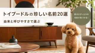 トイプードルの珍しい名前20選｜由来と呼びやすさで選ぶ 