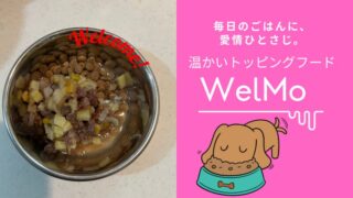 【体験談】WelMoトッピングフードおすすめする3つの理由徹底解説！ 
