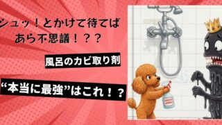 風呂のカビ取り剤“本当に最強”はこれ！？シュッ！とかけて待てばあら不思議！？？ 