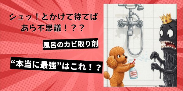 風呂のカビ取り剤“本当に最強”はこれ！？シュッ！とかけて待てばあら不思議！？？ 