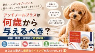 アンチノールプラスは何歳から犬に与えるべき？タイミングと始め方を徹底解説 