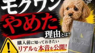 【モグワンをやめた理由は本当？】買う前に確認したい注意点と結論｜トイプードル飼い主の1年実体験レビュー 