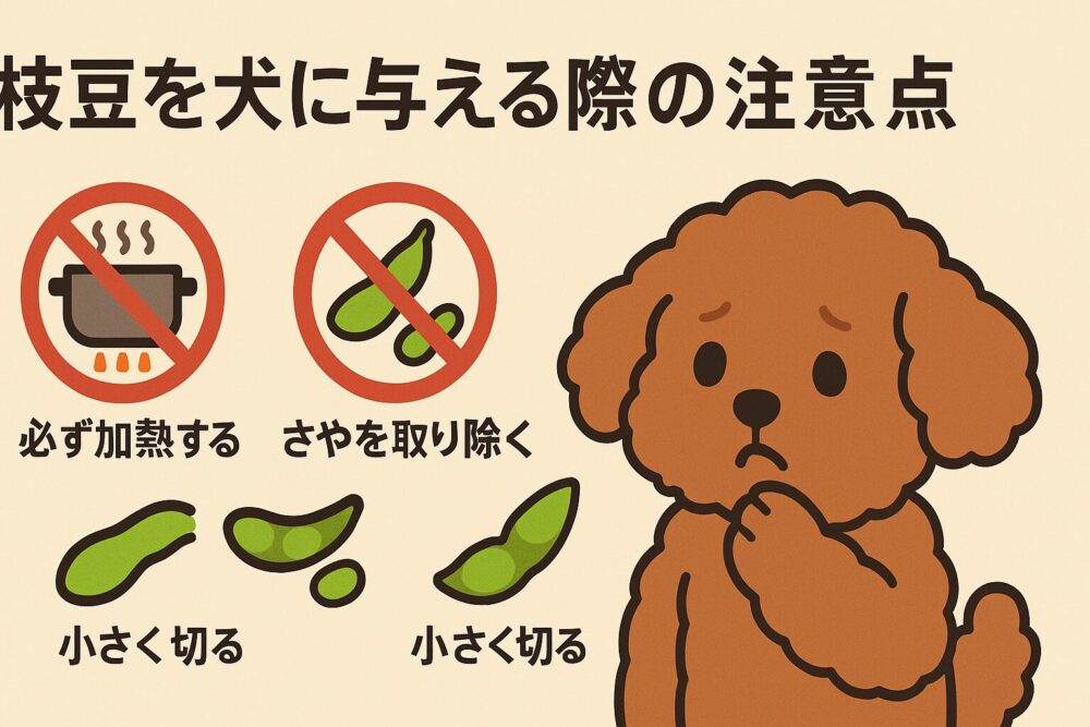 枝豆を犬に与える際の注意点の図解