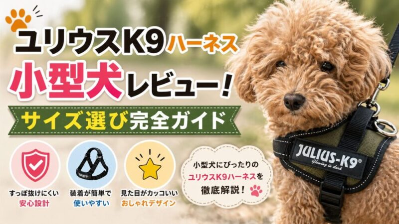 ユリウスK9ハーネス小型犬レビュー！サイズ選び完全ガイド
