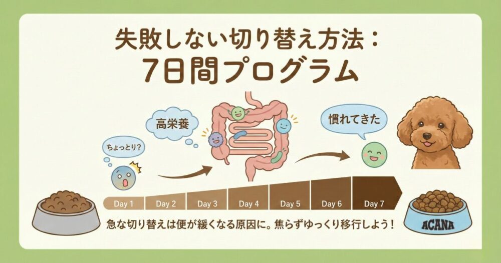 犬の食事切り替えプログラム