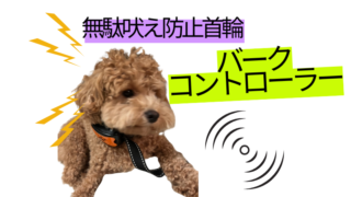 無駄吠え防止首輪って本当に効く？バークコントローラーを試した結果と口コミ 