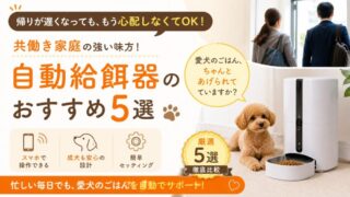 【必見】共働き家庭の成犬用自動給餌器おすすめ5選！留守番中も安心してご飯をあげられる 