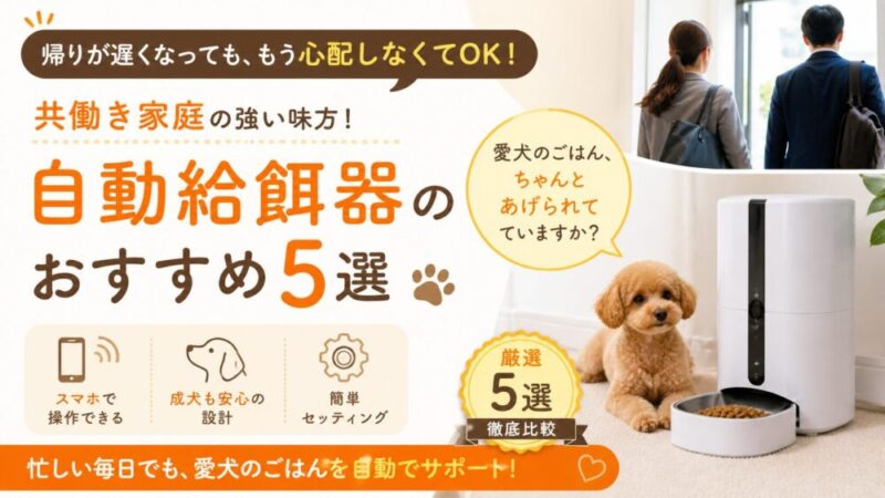 【必見】共働き家庭の成犬用自動給餌器おすすめ5選！留守番中も安心してご飯をあげられる
