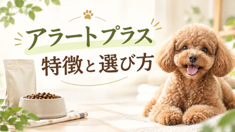 無添加ドッグフード「アラートプラス」はトイプードルに合う？ラム肉ベース・お試し2kgの特徴を共働き目線で調べました