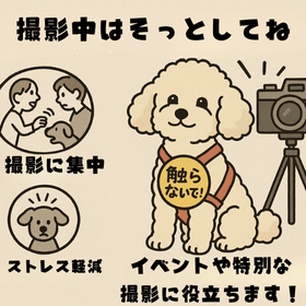 撮影中でのワッペン効果図