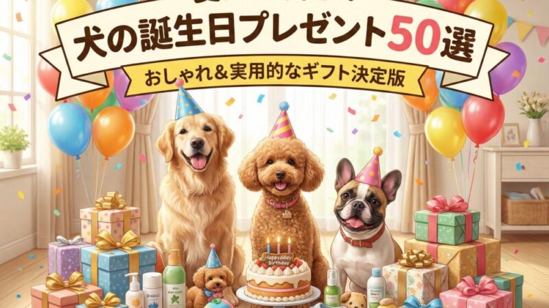 愛犬が喜ぶ！犬の誕生日プレゼント50選｜おしゃれ＆実用的なギフト決定版