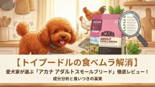 【トイプードルの食べムラ解消】愛犬家が選ぶ「 ACANAアダルトスモールブリード」徹底レビュー！成分分析と食いつきの真実 