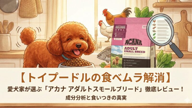 【トイプードルの食べムラ解消】愛犬家が選ぶ「 ACANAアダルトスモールブリード」徹底レビュー！成分分析と食いつきの真実 