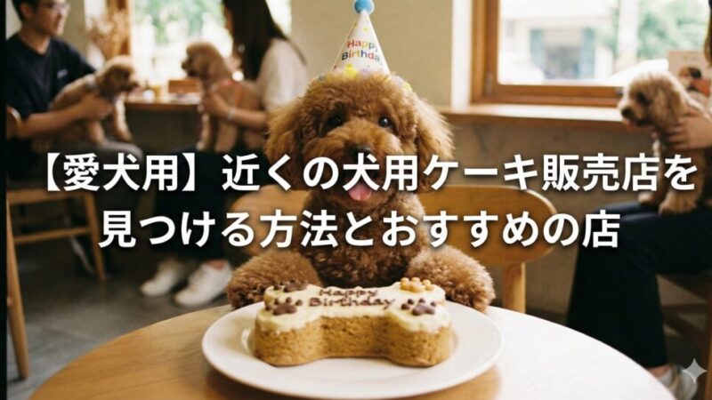 【愛犬用】近くの犬用ケーキ販売店を見つける方法とおすすめの店