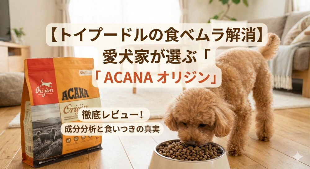 【アカナ アダルトスモールブリードレシピ検討している方へ】愛犬トイプードルの実食レビュー