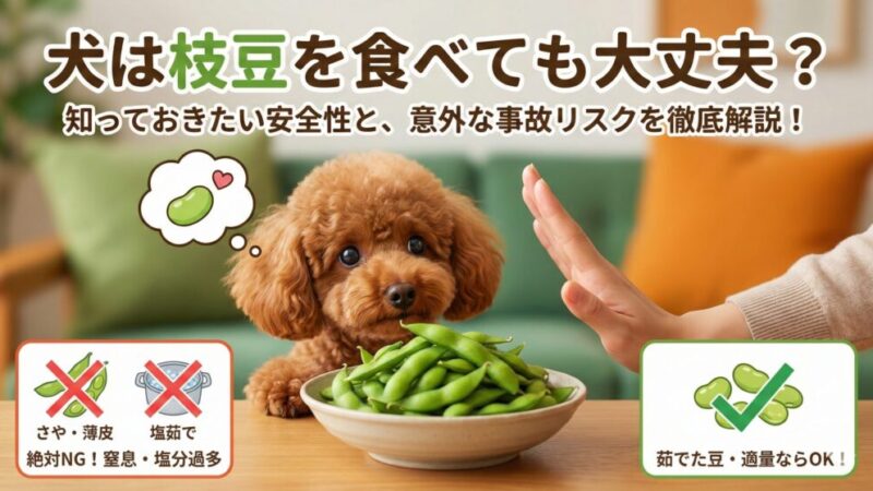 犬が枝豆を食べたけど大丈夫？さやの誤食リスクと正しい与え方 