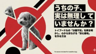 トイプードルのストレス解消は寝床が鍵！分離不安をなくす8つの方法 