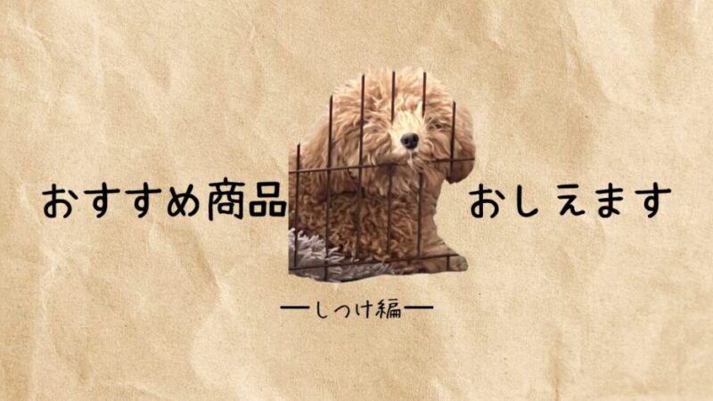 犬の無駄吠えを解決!「無駄吠えのしつけプラス」の効果とは?