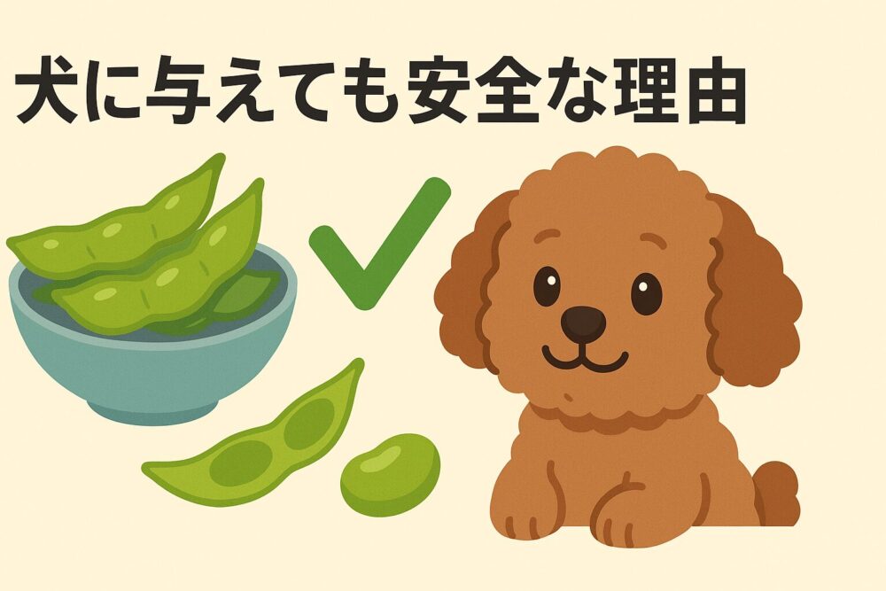 犬に枝豆を与えても安全な理由図解