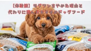 【体験談】モグワンをやめた理由と代わりに選んだおすすめドッグフード 
