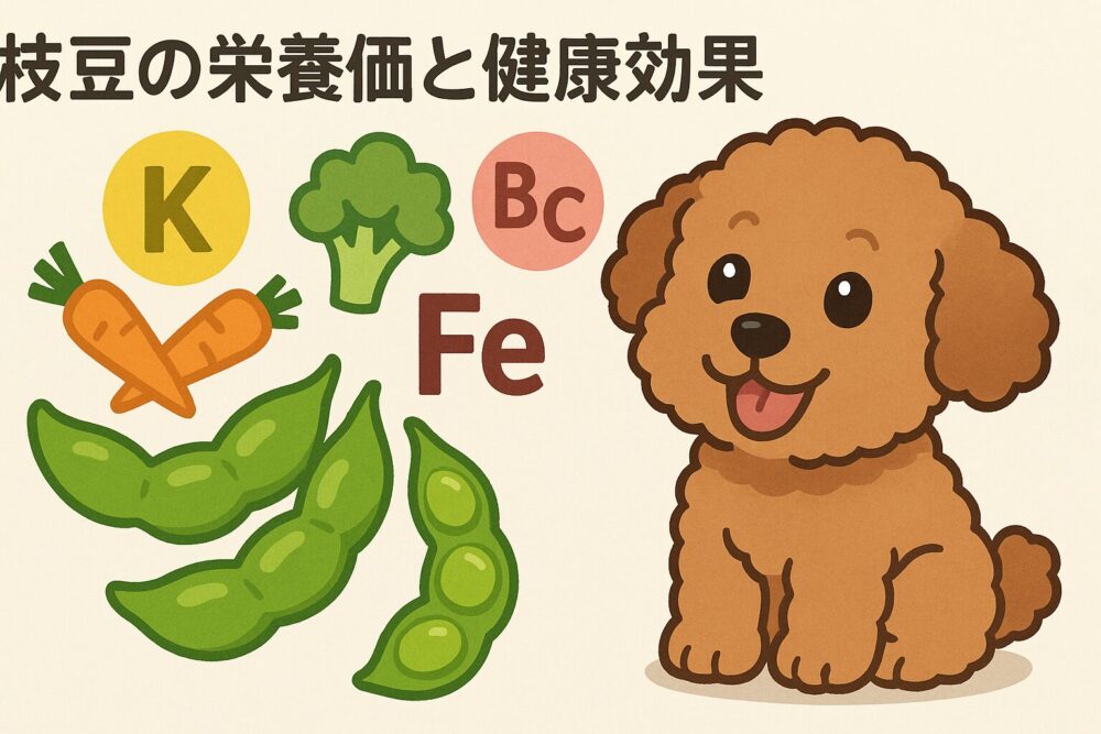 枝豆の栄養価と健康効果の図