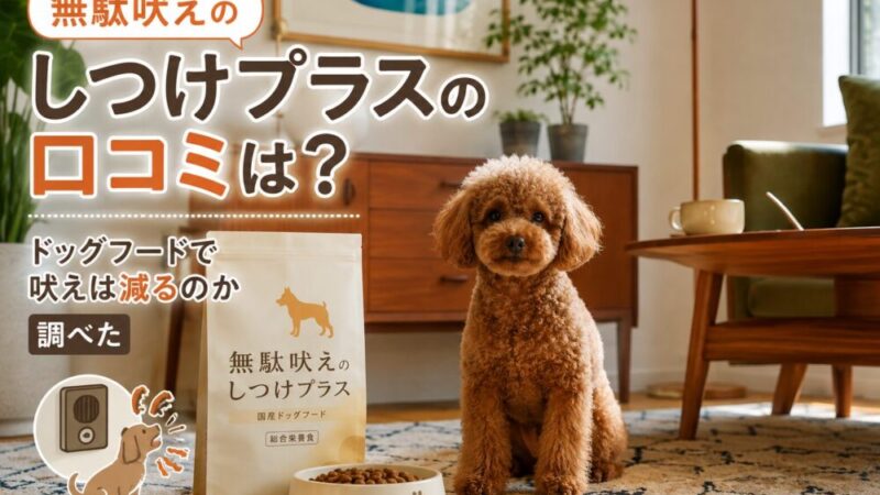 無駄吠えのしつけプラスの口コミは？ドッグフードで吠えは減るのか調べた 