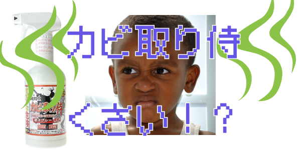 カビ取り侍がくさいのか!?を表見したアイキャッチ画像